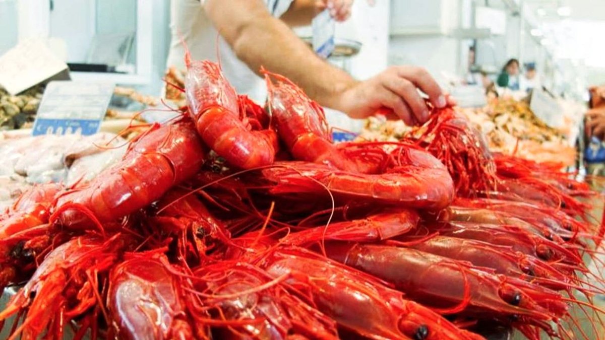 La gamba será protagonista en las jornadas del Restaurante Escánez.