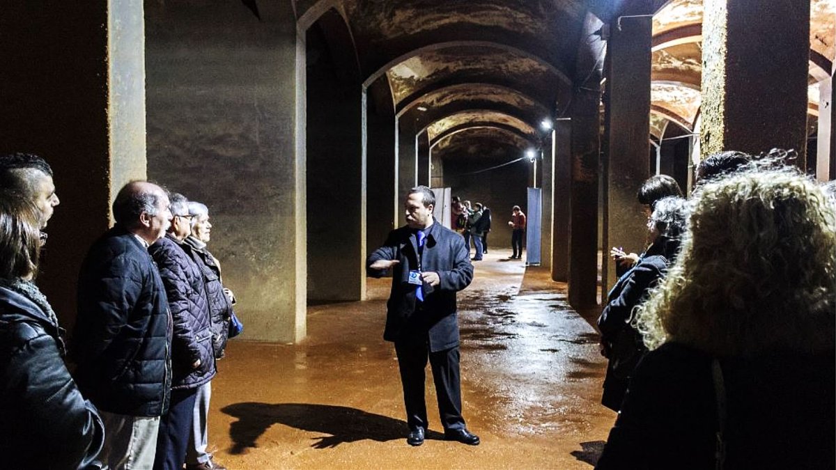 Visitas guiadas realizadas en el año 2018