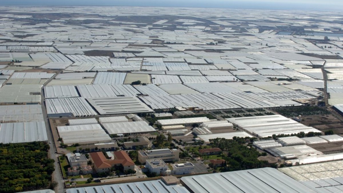 Imagen de archivo de invernaderos en la provincia de Almería.
