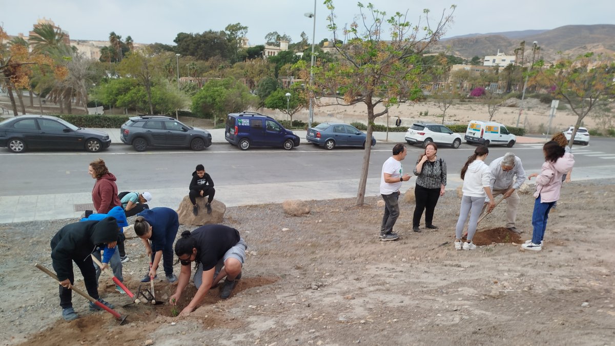 Plantación de algunos de los ejemplares por parte de los niños y voluntarios