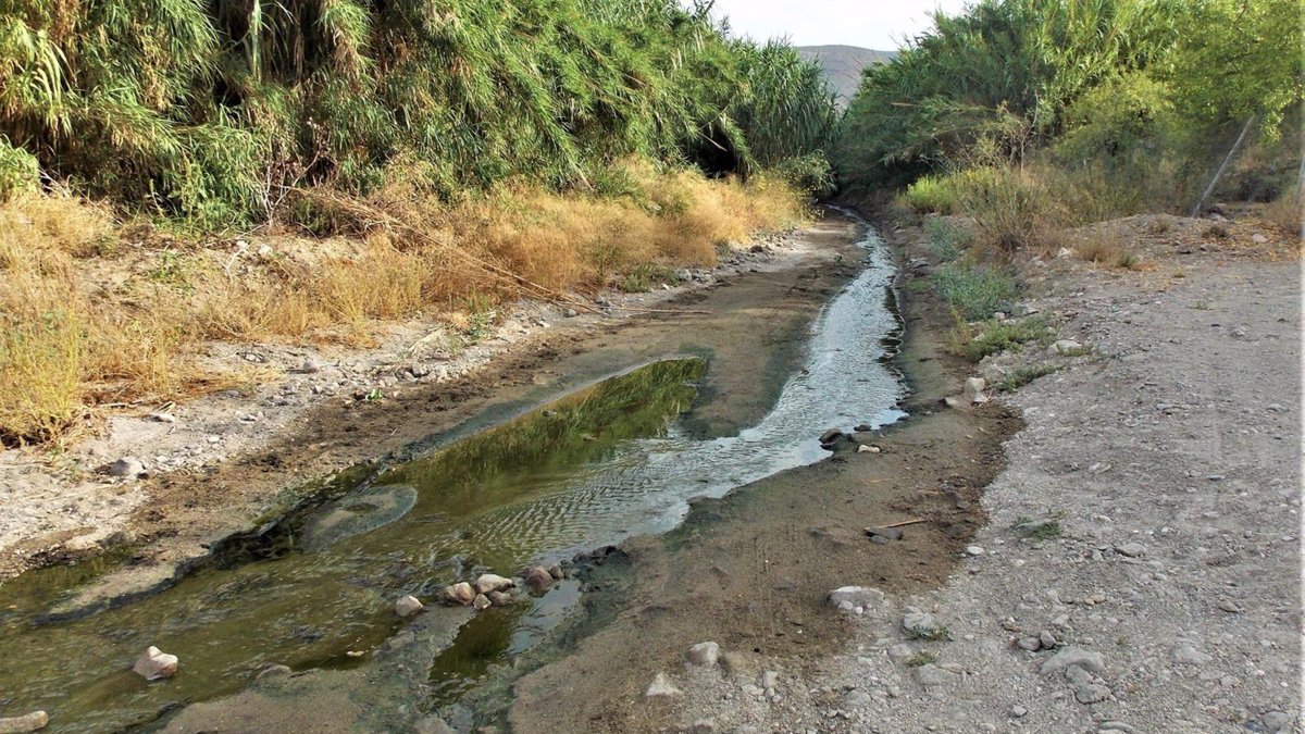 Rambla de Las Negras.