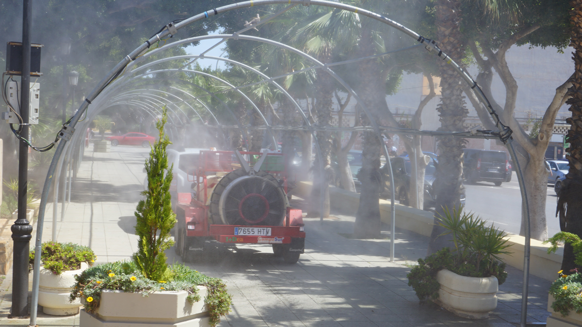 Los trabajos de desinsectación en Vícar.