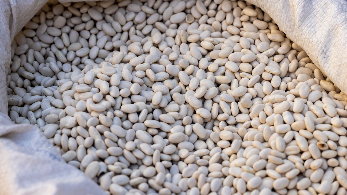 Alubias para cenar el viernes.