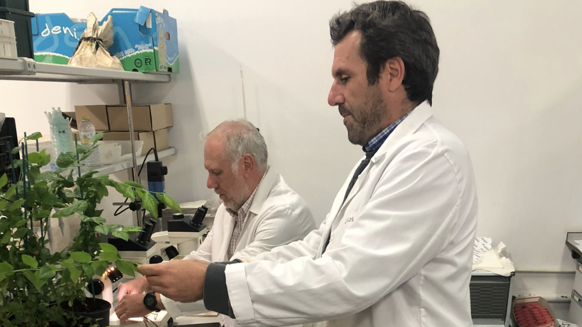 Antonio Santos, investigador de la Universidad de Huelva y autor del estudio