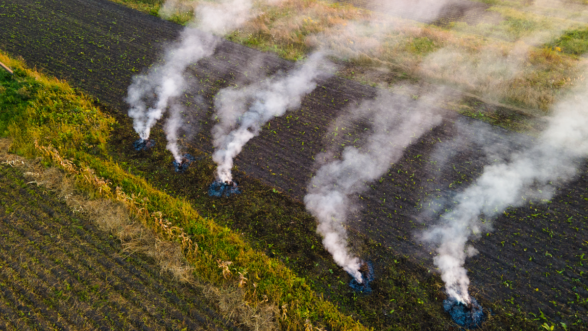 Quema de rastrojos. /Envato