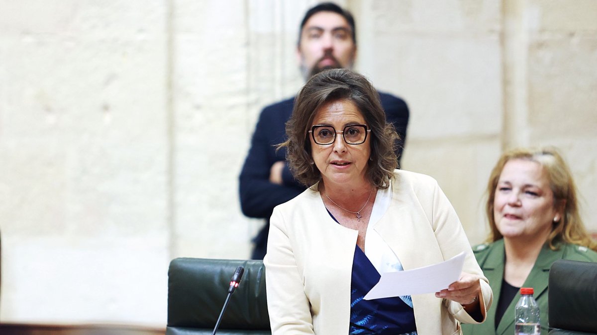 La consejera de Salud y Consumo, Catalina García, en un pleno en el Parlamento Andaluz.