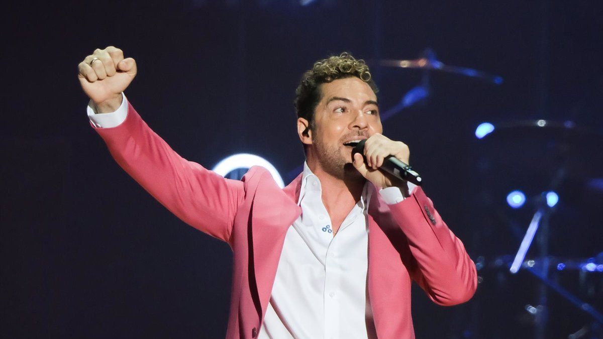 David Bisbal durante una actuación.