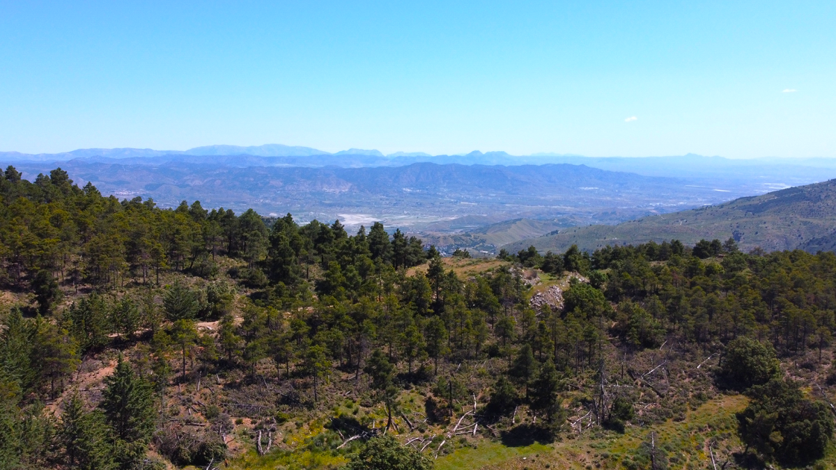 Una panorámica de las Sierras de las Estancias y María desde la Sierra de los Filabres. /CLV
