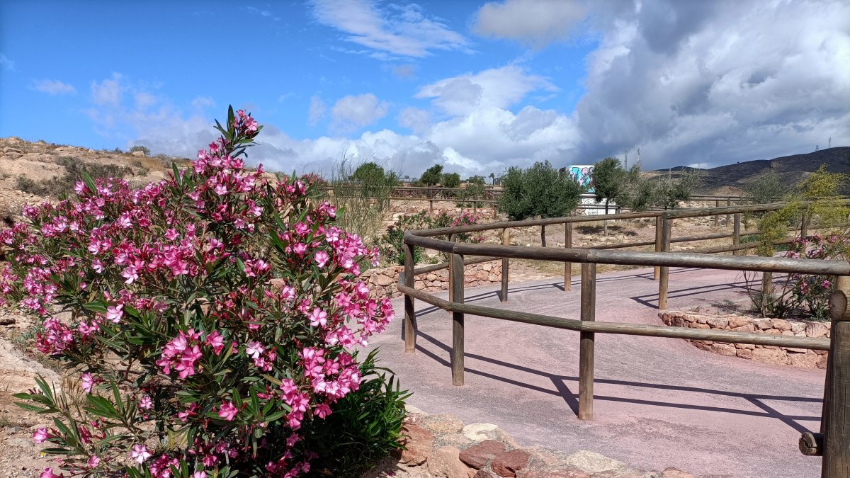 Una zona espectacular para disfrutar del escape room en familia gracias a la Asociación de Vecinos La Palmera.