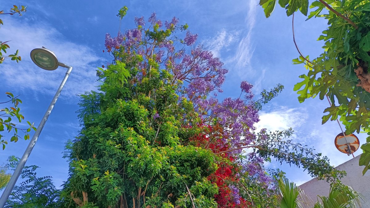 Colorida estampa primaveral en Ciudad Jardín.
