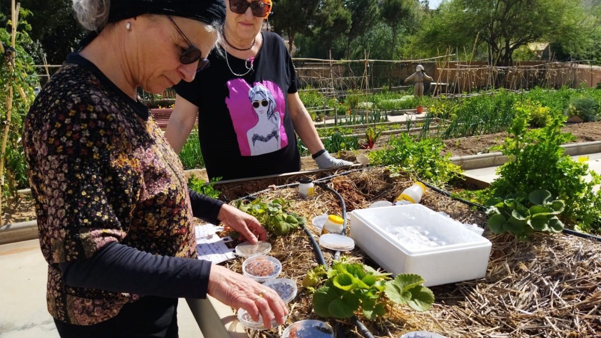 El huerto urbano en el Barrio de Los Ángeles que ha cumplido cinco años y se abre a los almerienses.