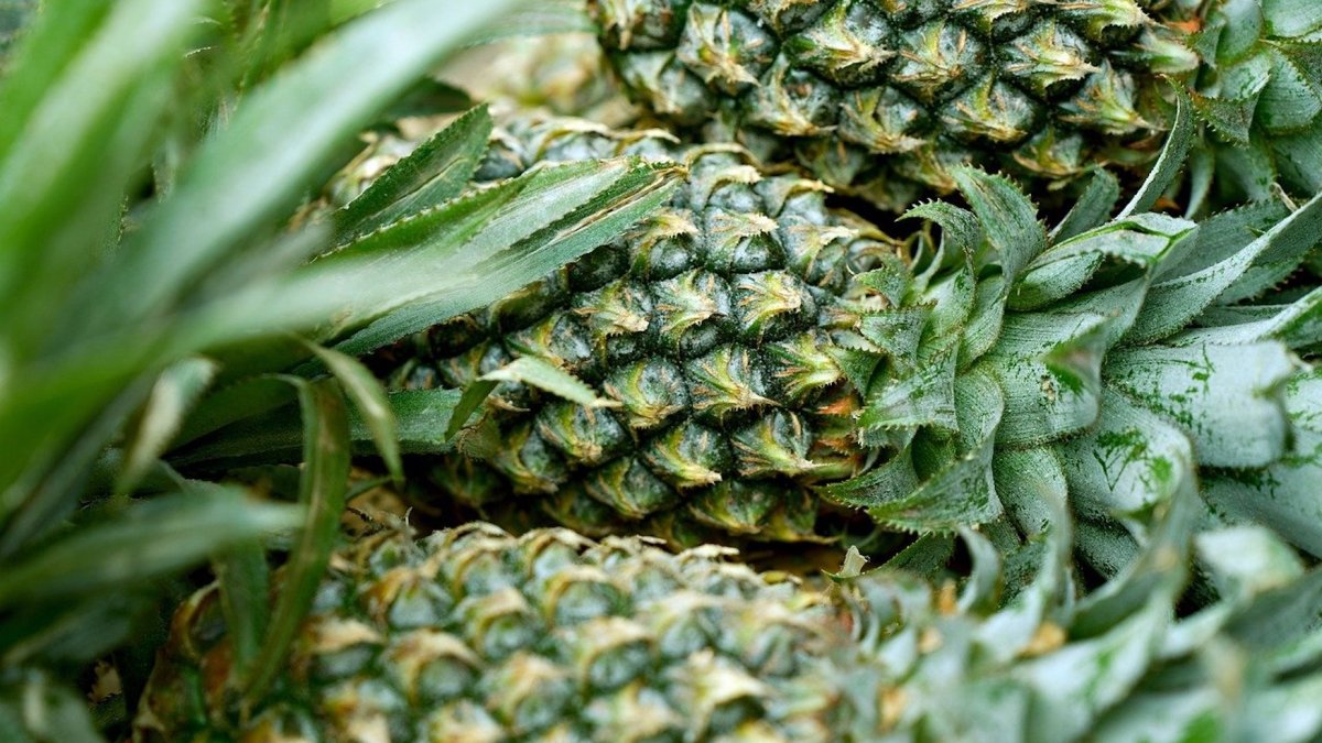 Esta colaboración es fruto del acuerdo alcanzado hace un año