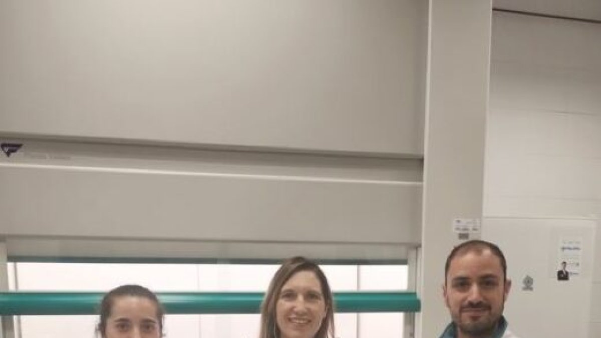 El equipo de investigación de la Universidad de Jaén