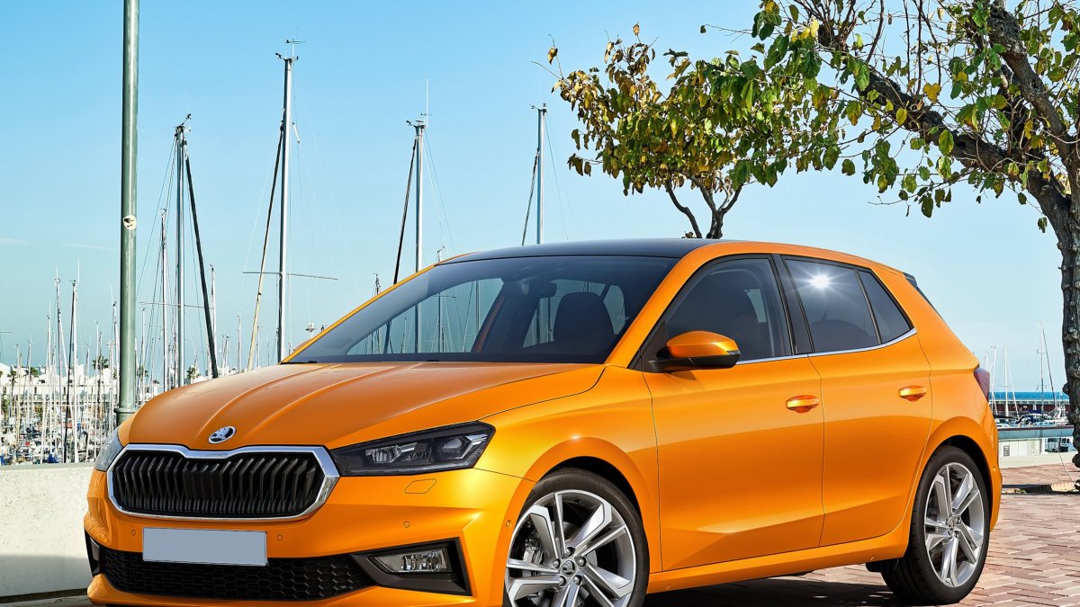 Saveauto te ofrece el Skoda Fabia con acabado Go