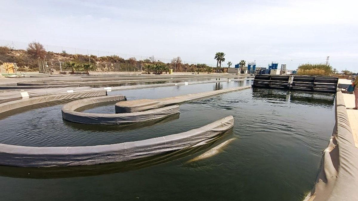 Estación depuradora de El Toyo