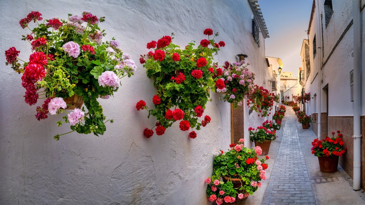 Las calles decoradas con plantas y las casas blancas dan una imagen única.