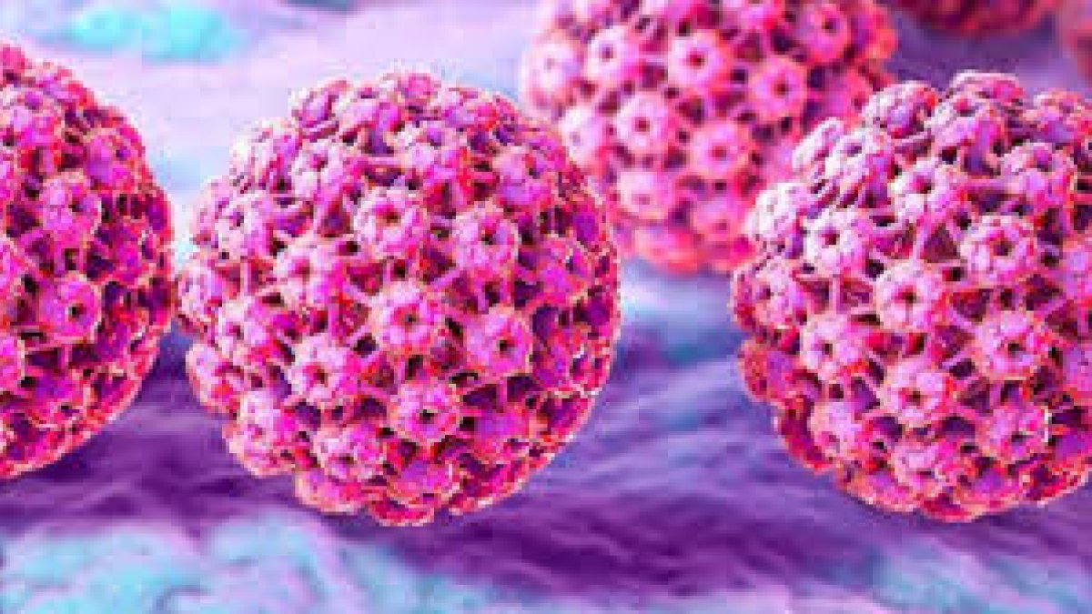 El virus del papiloma humano.