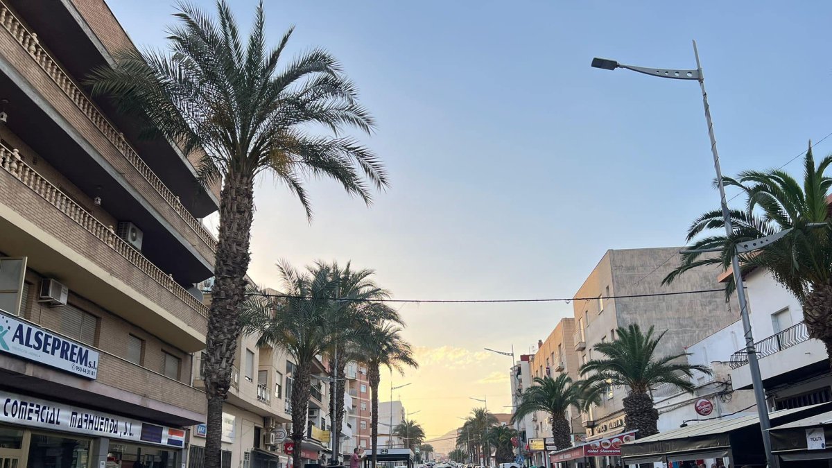 La avenida Almanzora en Olula del Río en la segunda edición de la Feria del Tardeo.