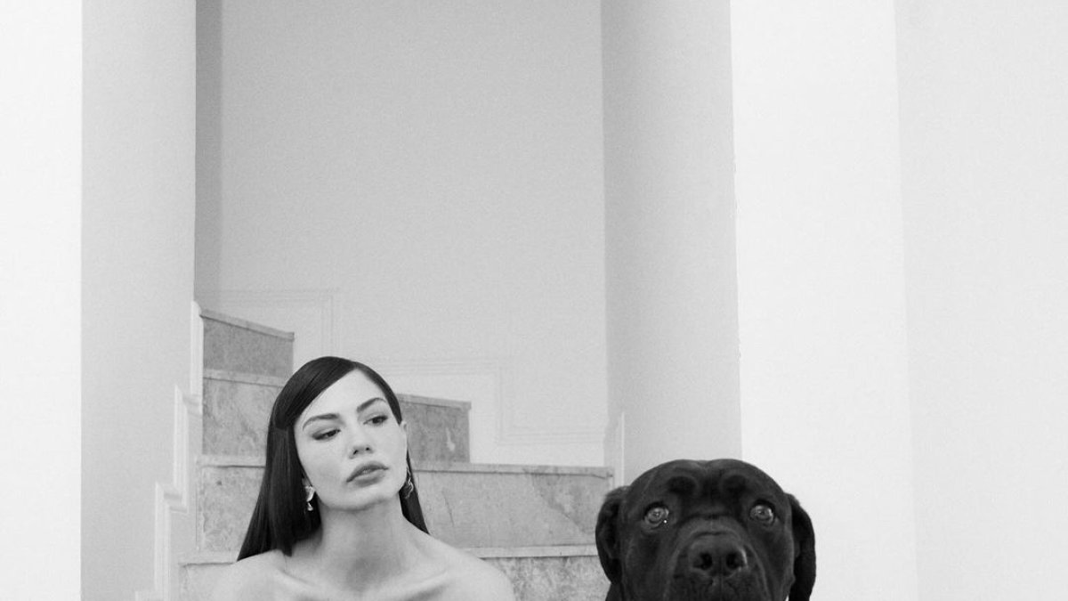 Demet Özdemir defiende a los animales callejeros.