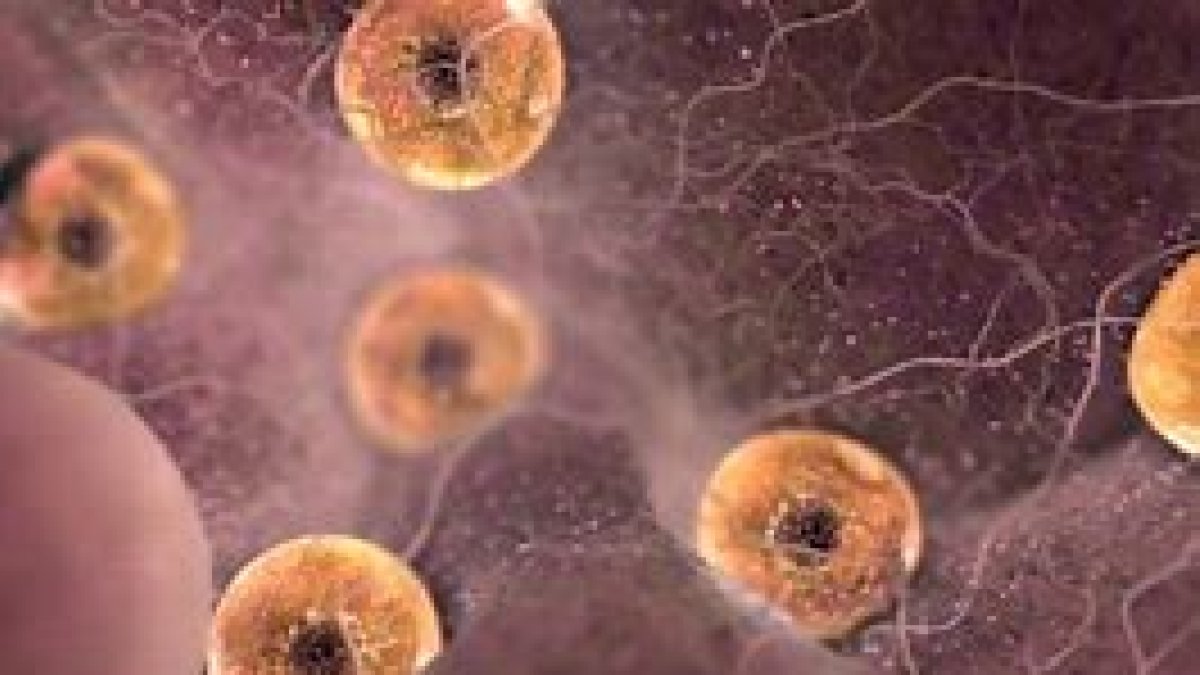 Charla el próximo 20 de junio.