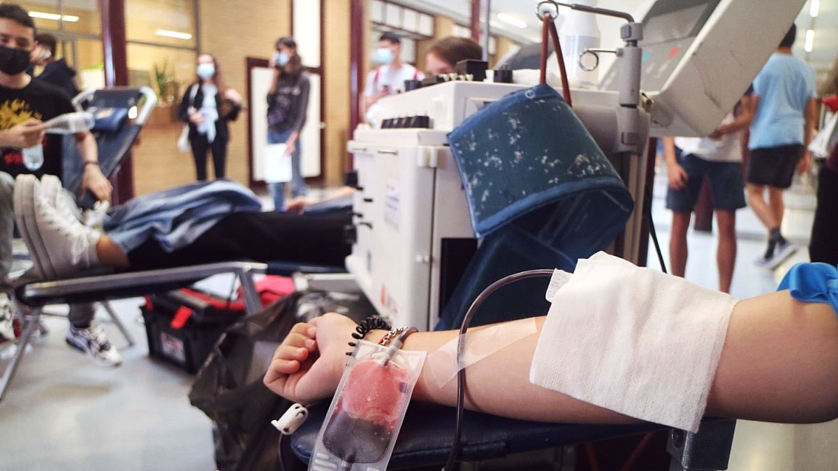 Colecta de sangre en Almería. Foto de archivo.