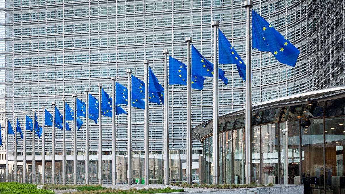 El pasado 9 de junio se celebraron las elecciones europeas.