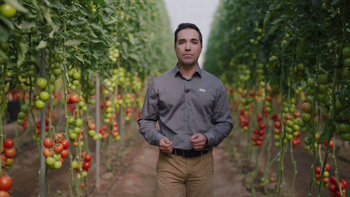Alejandro Sánchez, especialista de tomate en Semillas Fitó.