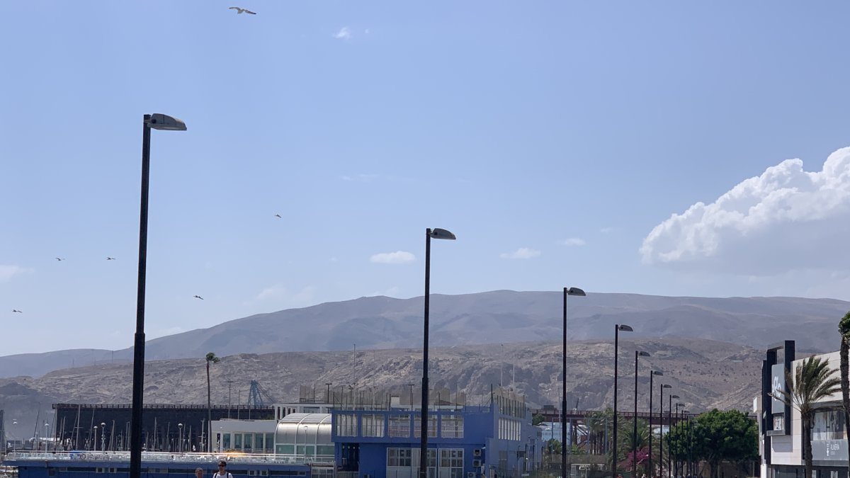 Imagen de los soportes de la calle La Marina.