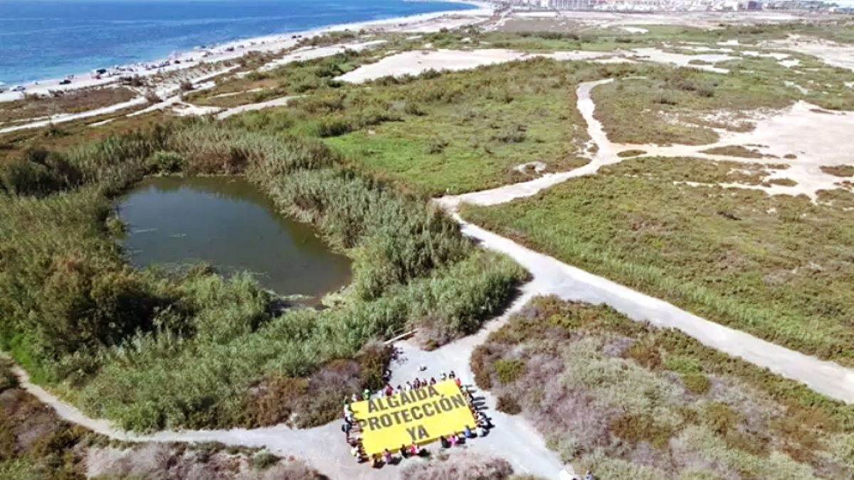 Pancarta desplegada por activistas.