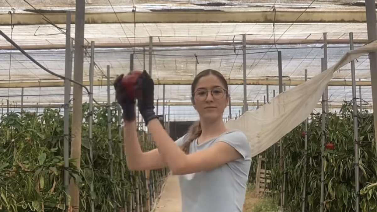 Lucía, la 'tiktoker' que cuenta su rutina en un invernadero./ @Agrofamily_moralesperz