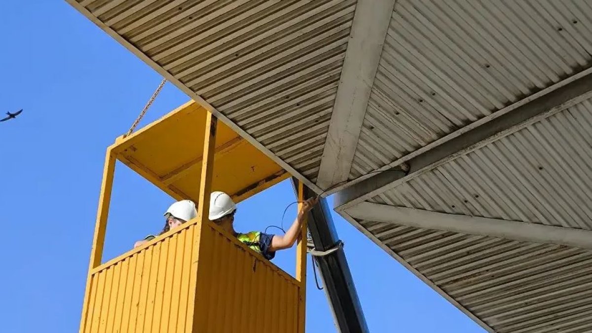 Revisión de las marquesinas de la estación fotografiados por SOS Vencejos