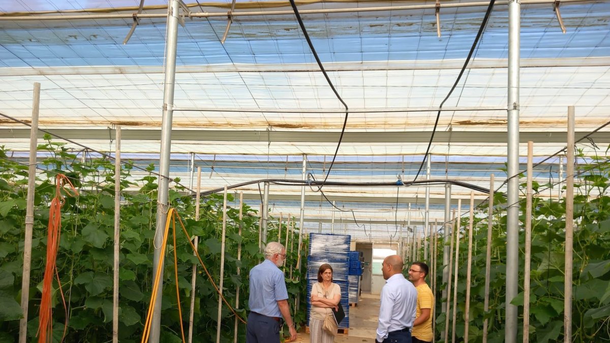 Visita explotación de invernadero beneficiaria de la ayuda concedida para la modernización en explotaciones agrarias