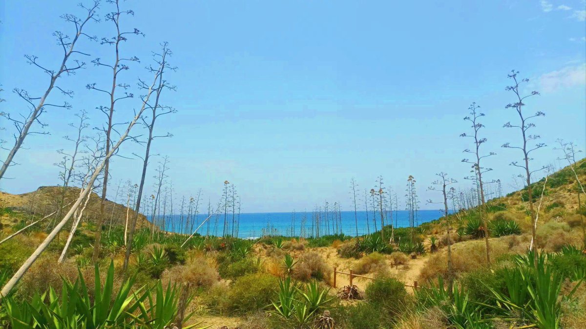 Paisaje natural de las calas de San José. 
Bego Cánovas