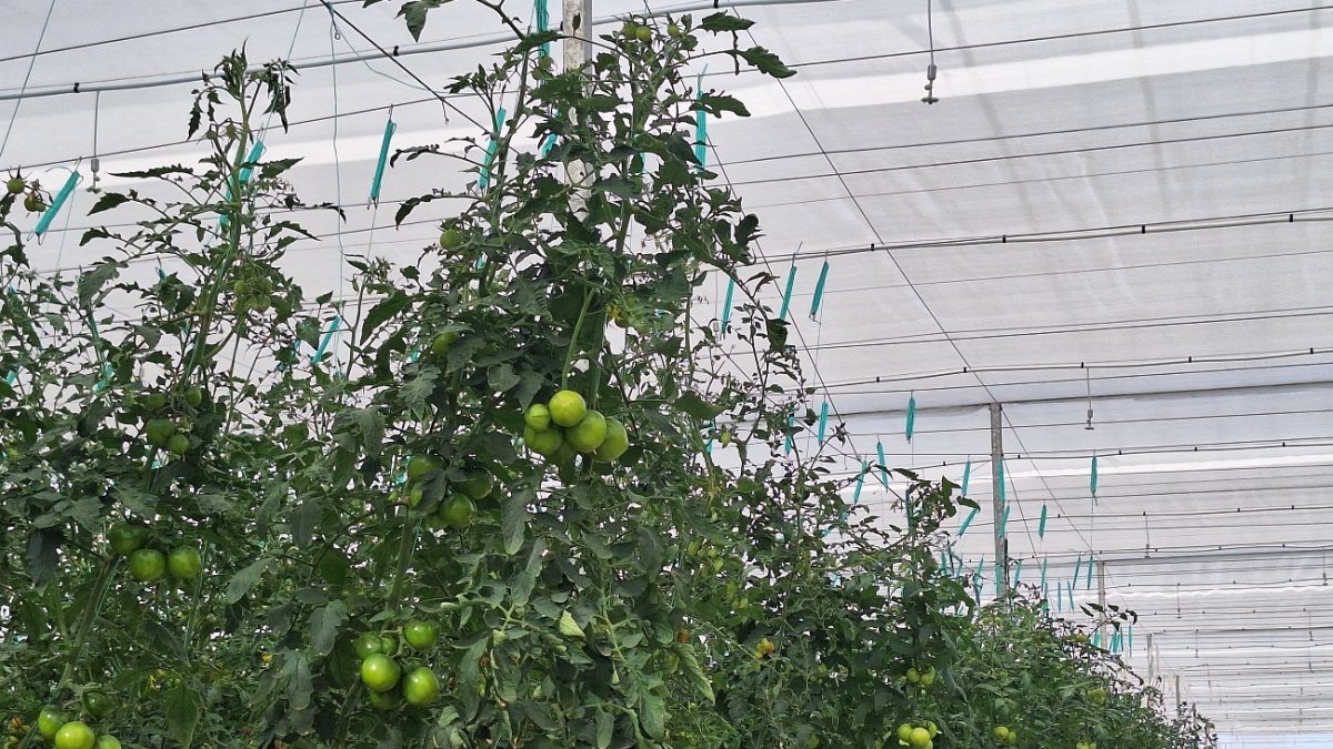 Soluciones agrícolas de alta calidad.