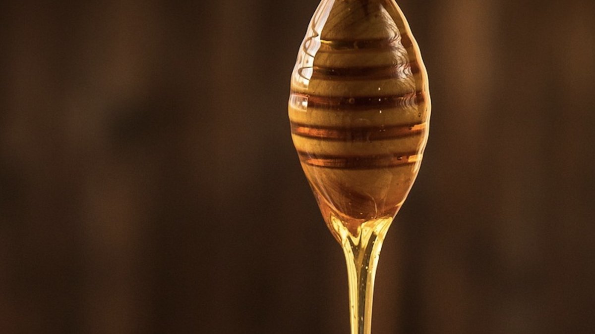 Audiencia pública desde el lunes 22 de julio y hasta el próximo 9 de agosto