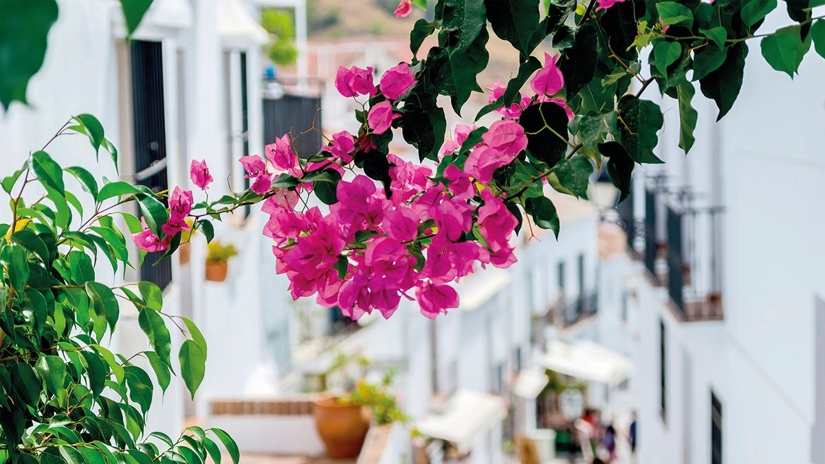 Foto de Frigiliana de Turismo Costa del Sol recogida por Europa Prees.