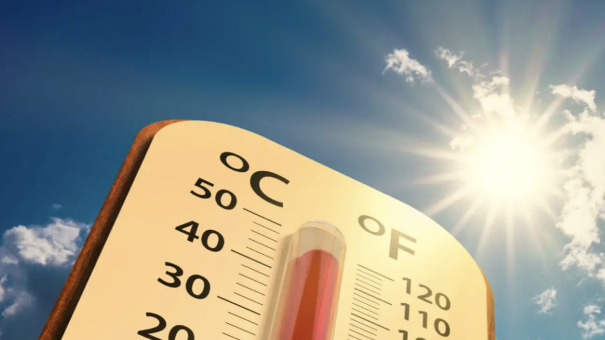 La RAIF ha publicado recientemente un informe detallando cómo las altas temperaturas influyen en las plagas de los cultivos