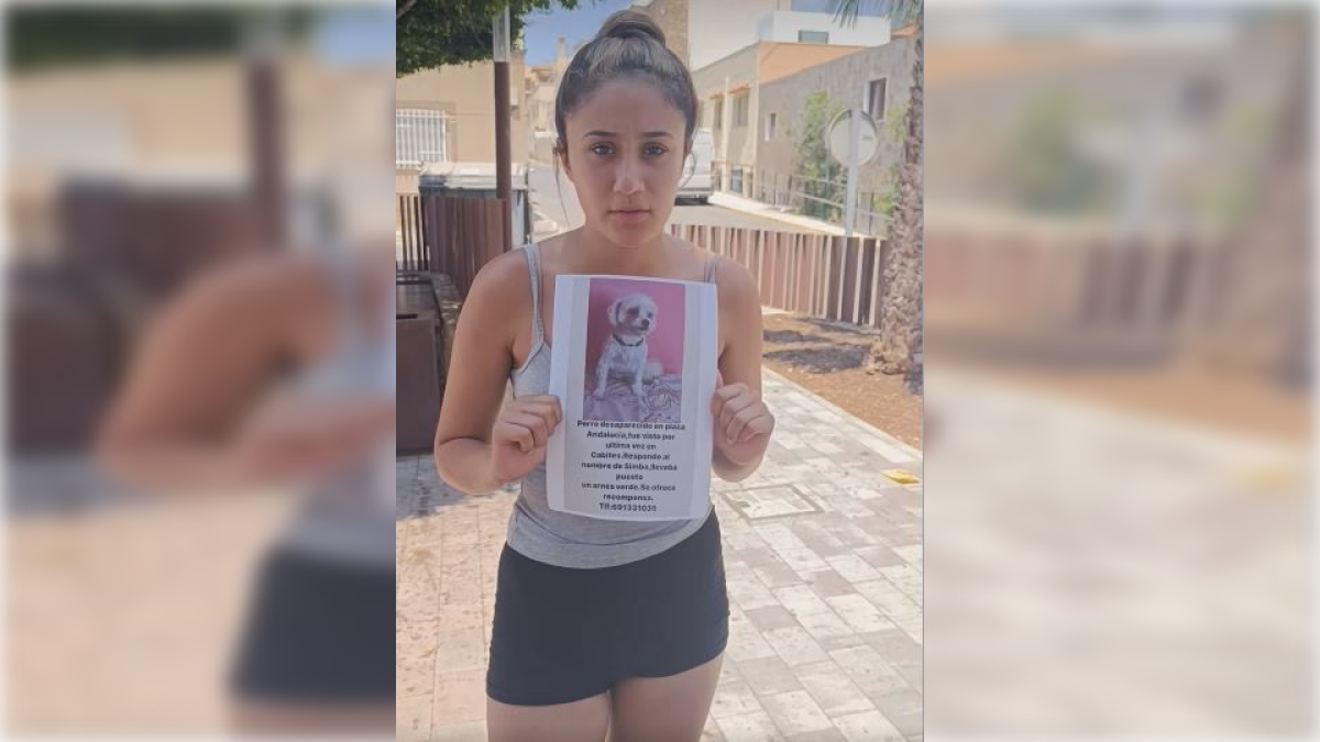 Buscan a Simba, un perro desaparecido en Adra.