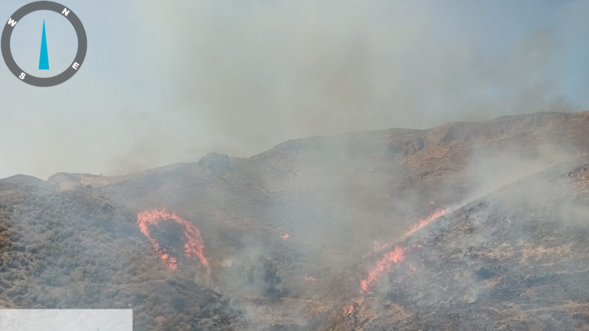 Imagen del incendio forestal en el paraje de La Loma en Antas.