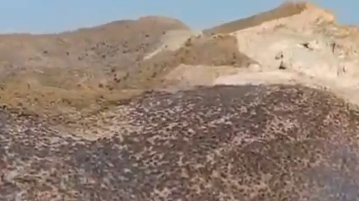 Zona calcinada en Antas por el incendio: Foto: Infoca.