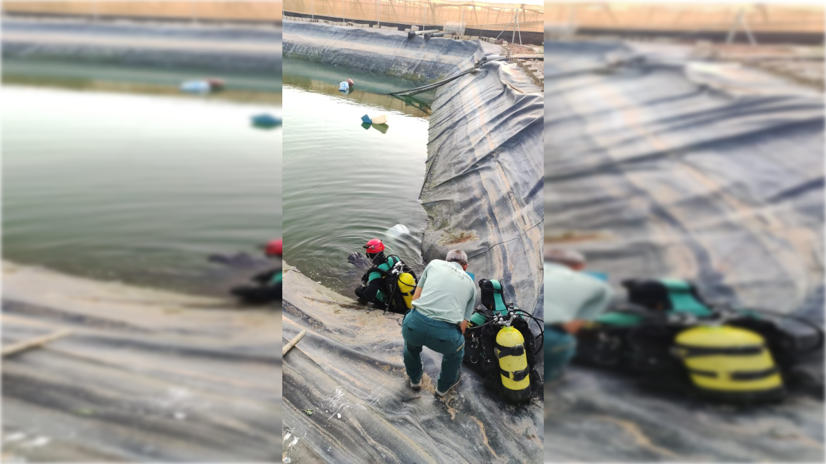 Agentes de la Guardia Civil rescatan el cuerpo sin vida del hombre hallado en una balsa.