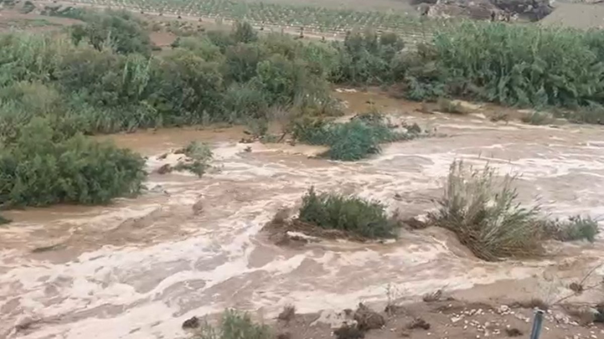 Las luvias han provocado la salida de algunas ramblas como la de Canalejas a su paso por el municipio de Pulpí.