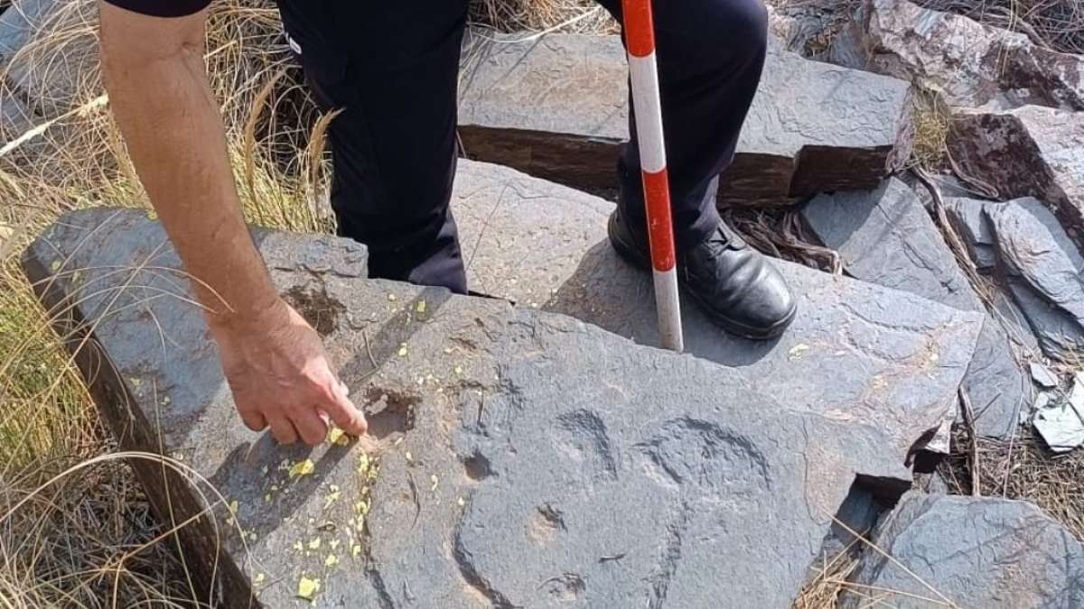 Imagen de los grabados rupestres hallados en la Sierra de Los Filabres en Olula de Castro.