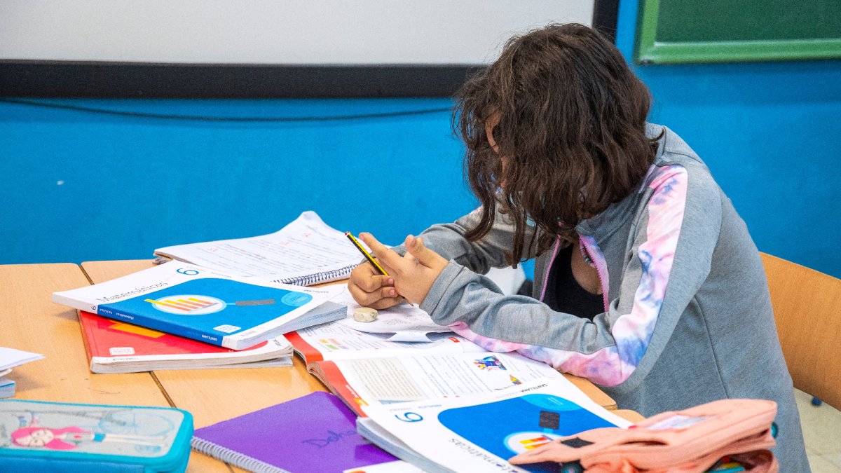 Más de 46.000 alumnos almerienses estrenan libros de texto en el curso 2024/25.