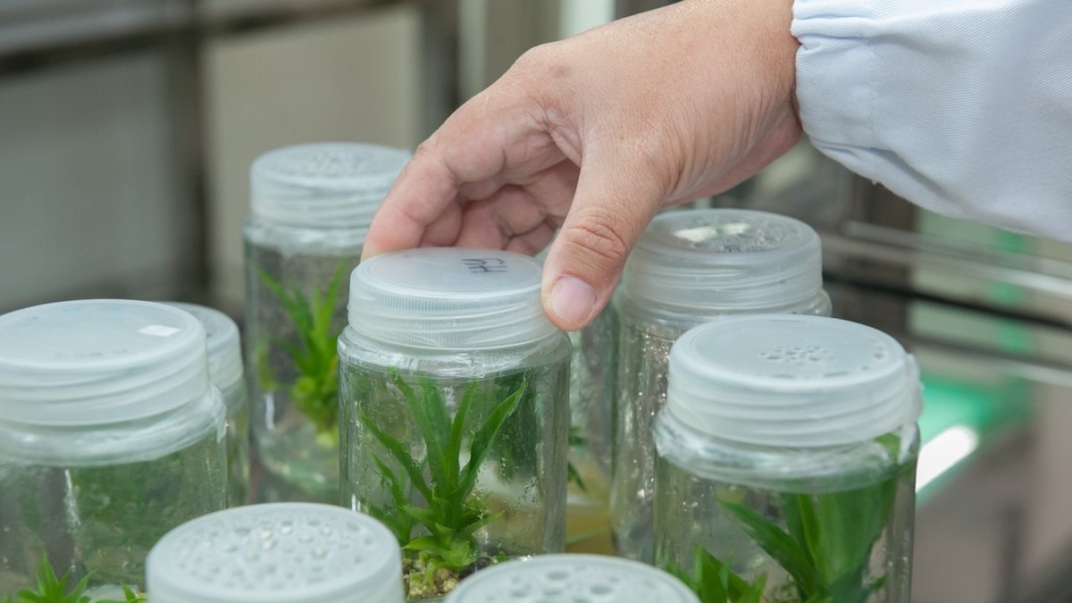 Este programa celebra su reedición con una jornada de presentación, el 23 de septiembre, en la sede del Ministerio de Agricultura