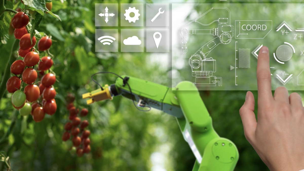 Lo que supone la digitalización de la agricultura