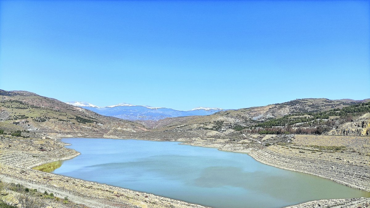 Imagen desoladora captada hace unos meses en el Pantano de Benínar, en la Alpujarra almeriense.