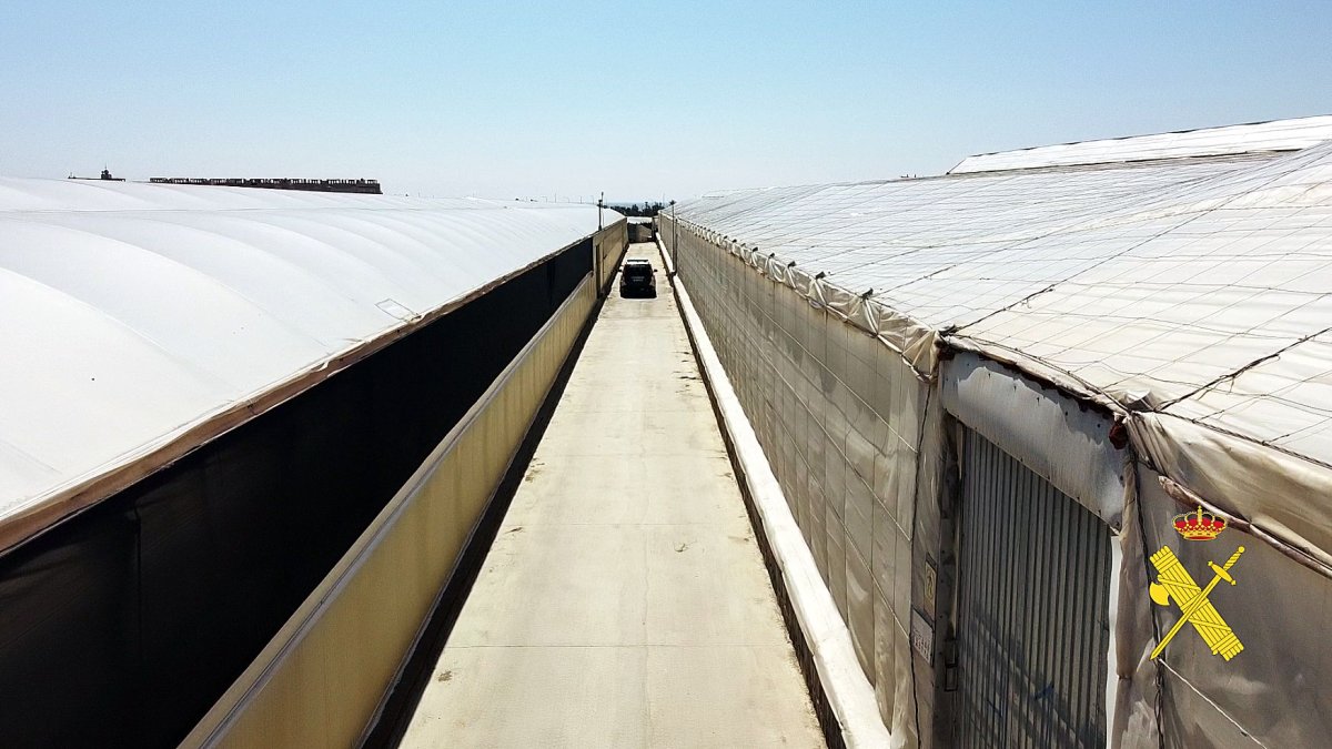 Los productos fitosanitarios estaban valorados en más 350.000 euros.