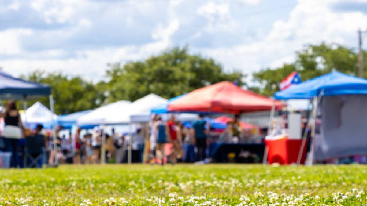 Feria al aire libre en un jardín público.