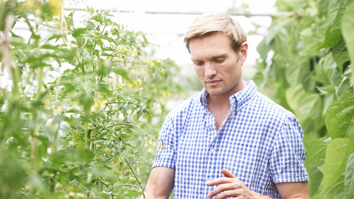 Software para una agricultura rentable y sostenible